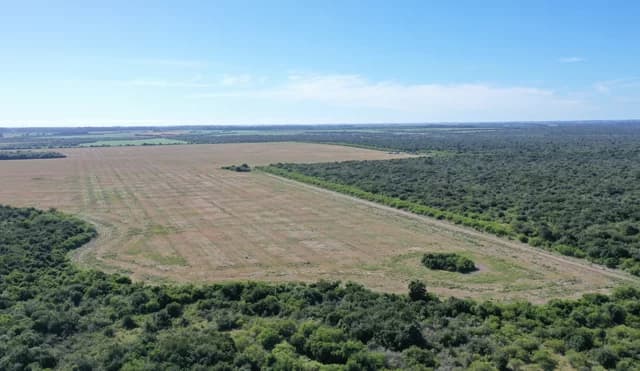 Proyecto energético en Uruguay genera alerta ambiental en Entre Ríos