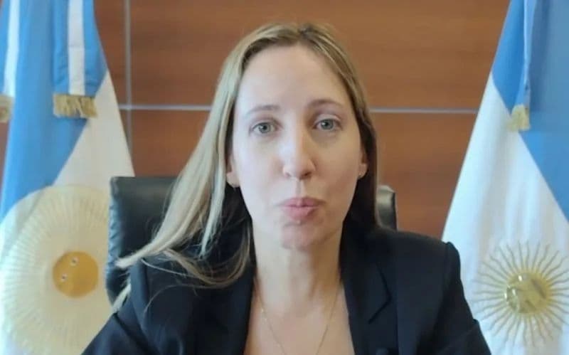 San Juan prevé habilitar Agua Negra el 1 de diciembre