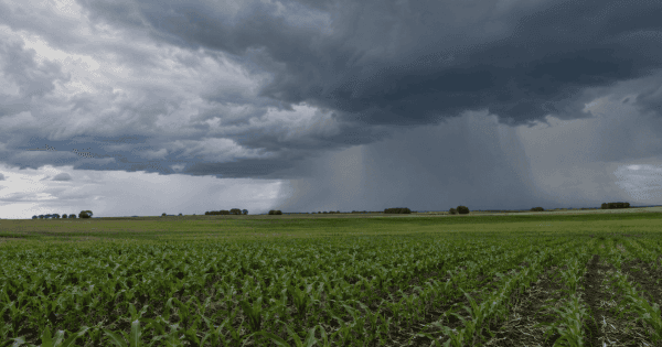 Tormentas fuertes ponen en alerta al campo bonaerense