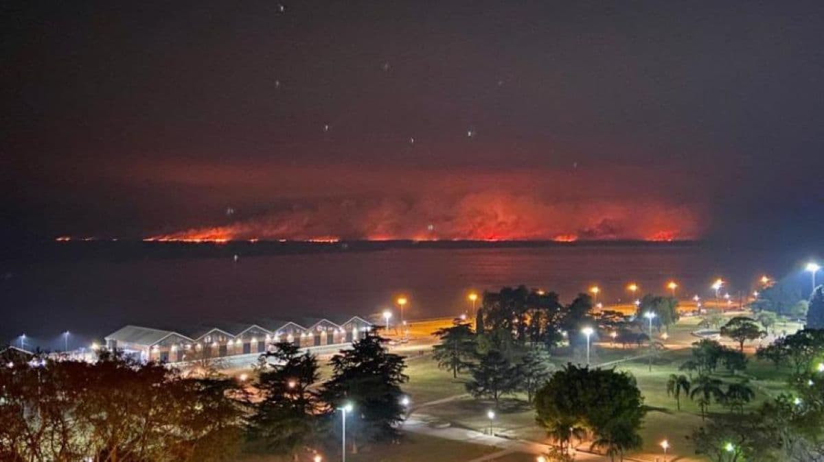 Red de monitoreo de aire en tiempo real para el Delta del Paraná