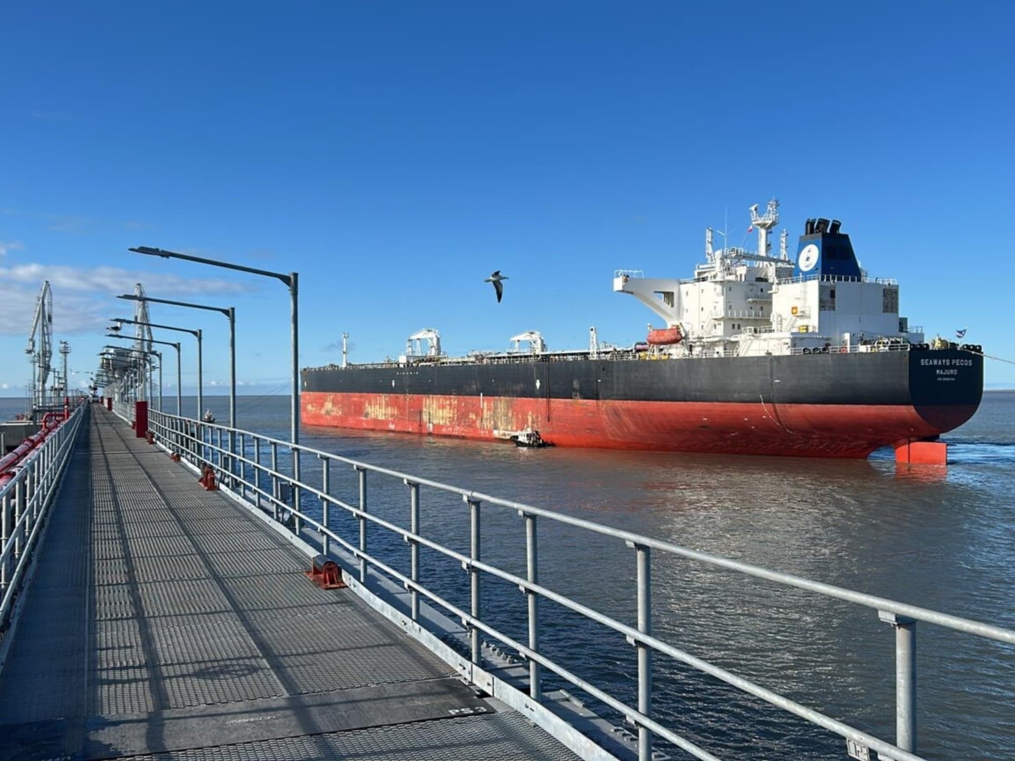 Puertos argentinos paralizados: costos operativos cuatro veces superiores