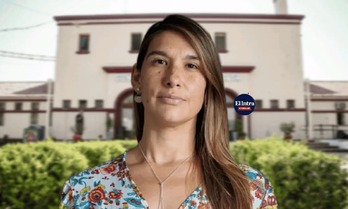 Salta presenta su nueva escarapela: símbolos que trascienden fronteras